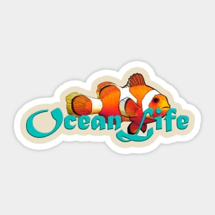 Ocean Life Clown Fish Sticker